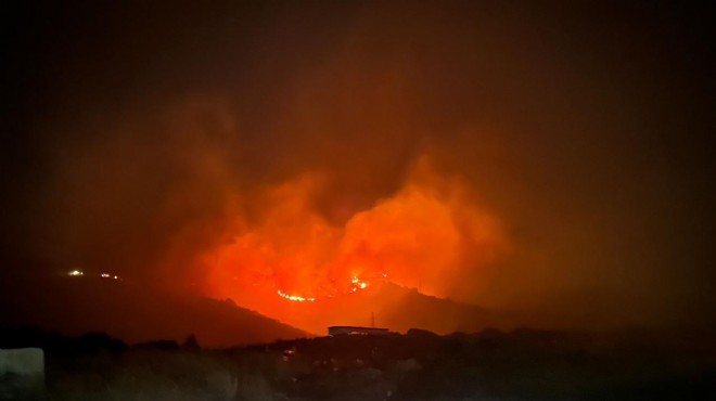 Marmara Adası nda makilik yangını!