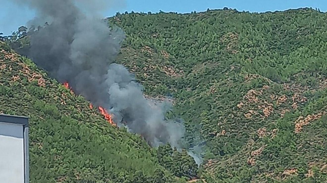 Marmaris yangınının ürküten sebebi... Cesedi ateşe vermişler!