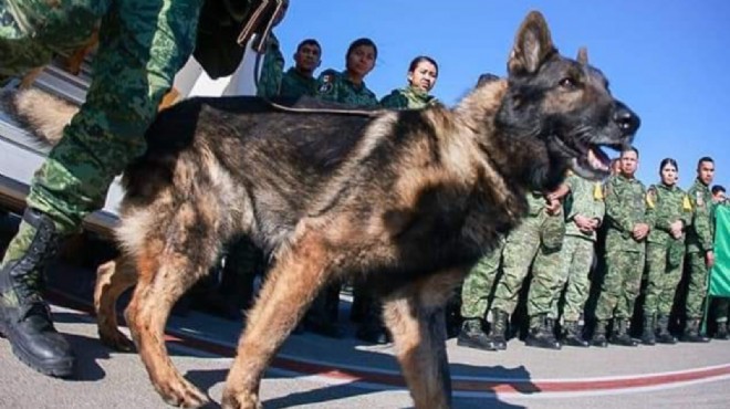 Meksika ekibindeydi... Proteo hayatını kaybetti