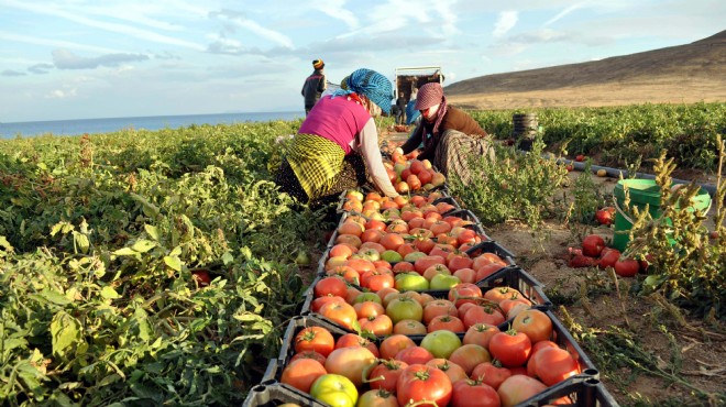 Menderes’te tarım ve hayvancılık çalıştayı