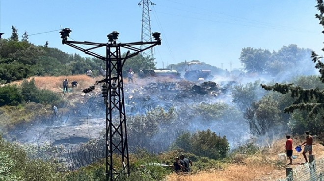 Milas ta makilik yangını söndürüldü