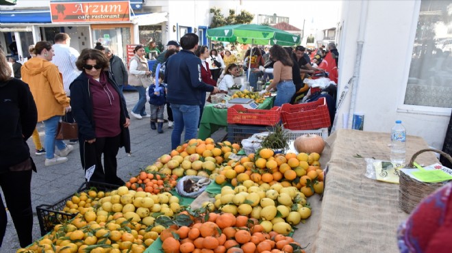 Muğla da  Bodrum Mandalin Festivali  düzenlendi