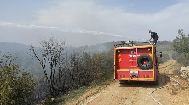 Muğla da çıkan yangında 2 hektar orman küle döndü