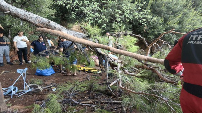 Muğla da kuvvetli rüzgarda ağaç devrildi: 3 yaralı