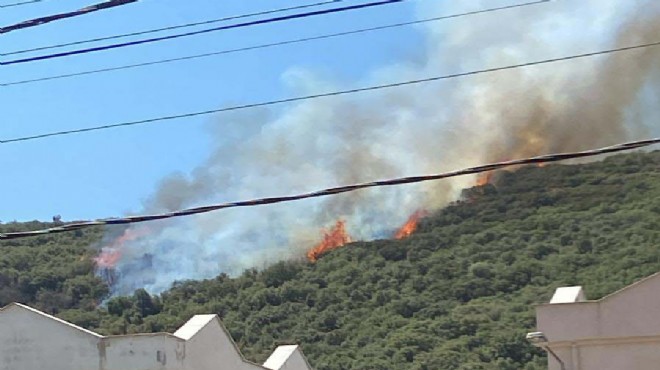 Muğla da makilik yangını