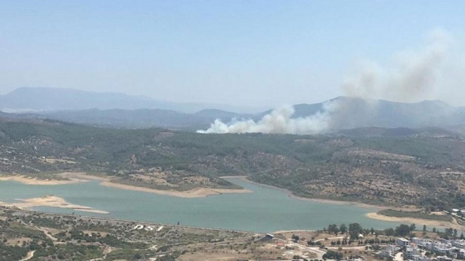 Muğla da orman yangını: Ekipler müdahale ediyor!