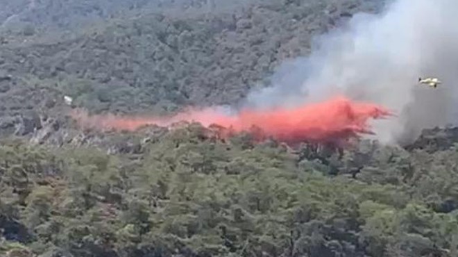 Muğla da orman yangını söndürüldü