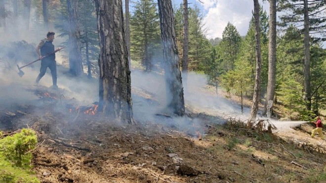Muğla da yıldırımlar yüzünden 28 orman yangını çıktı