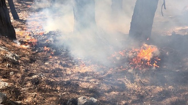 Muğla daki orman yangını kontrol altında