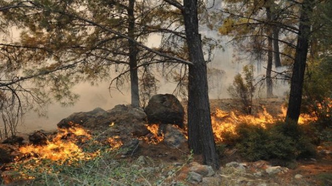 Muğla Valiliği nden  orman yangını  uyarısı