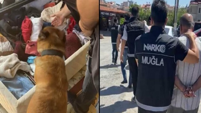 Narkotik köpeği Naz dan kaçmadı.. 4 tutuklama!