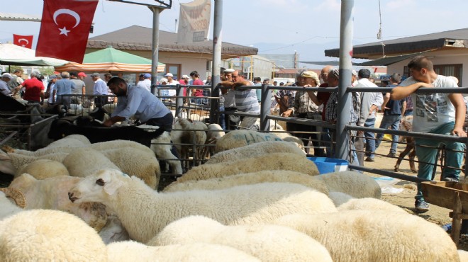 Ödemiş te kurban satış ve kurban kesim yerleri belli oldu