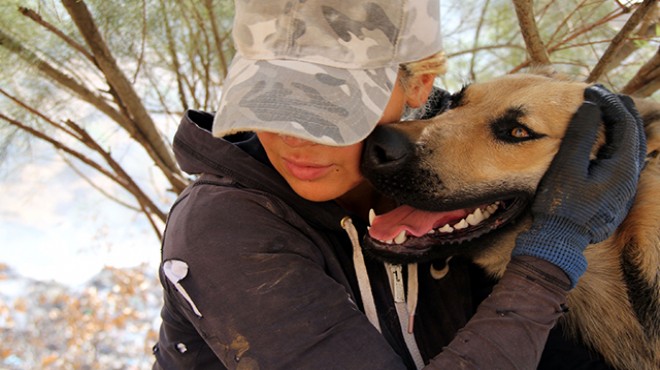 Öğretmen Eda, sokak köpekleri için tayini reddetti