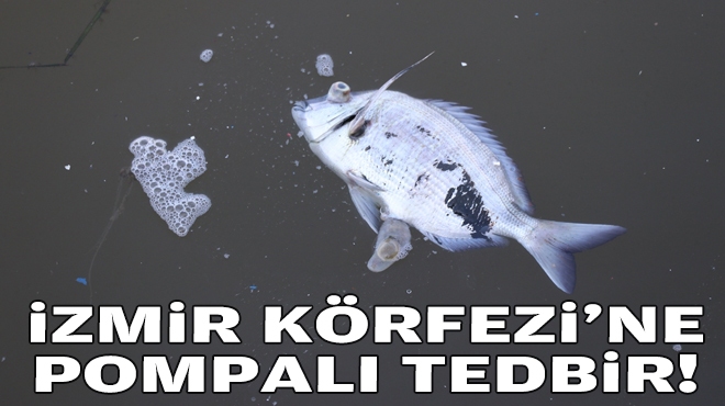 Oksijen miktarı artırılıyor... İzmir Körfezi'ne pompalı tedbir!