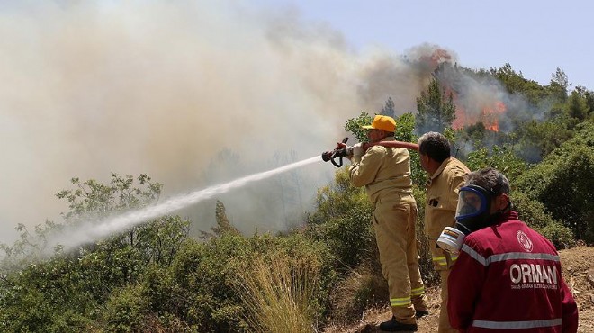Orman Müdürlüğü harekete geçti... İzmir de yangınla mücadeleye 300 kişilik takviye