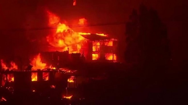 Orman yangınında korkunç bilanço: 99 kişi öldü!
