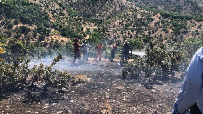 Ormanlık alanda çıkan yangın söndürüldü