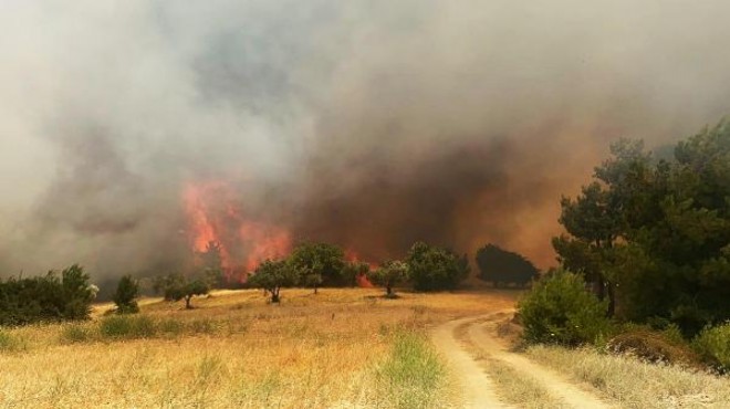 Ormanlık alanda yangın: Havadan ve karadan müdahale!