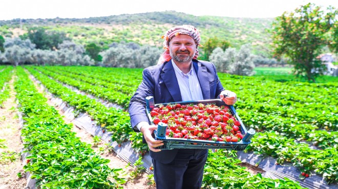 Pehlivan dan vatandaşlara davet... İzmir i çilek kokusu saracak!