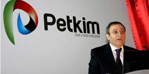 Petkim: İhaleye gireriz, makul fiyat olursa alırız