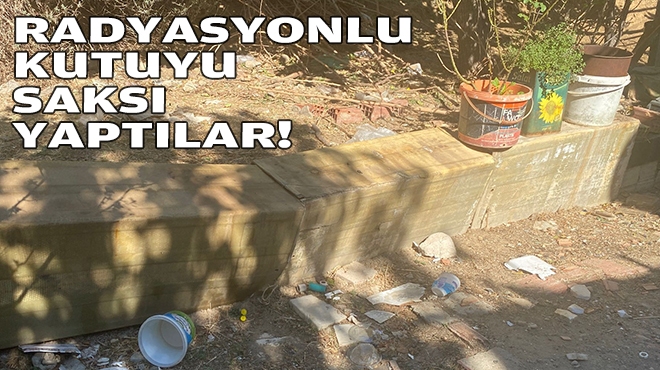 Radyasyonlu kutuyu saksı yaptılar!