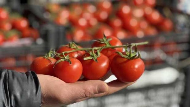 Rusya, Türkiye dahil 9 ülkeden sebze ithalatını artırıyor