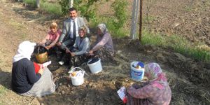 ‘Ülkenin her yerinde mutlaka DP’nin bir izi vardır’