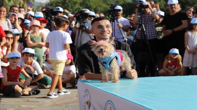 Sahipsiz hayvanlar için pati festivali düzenlendi