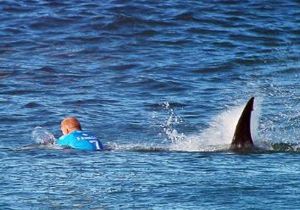 Şampiyon sörfçüye canlı yayında köpekbalığı saldırısı!