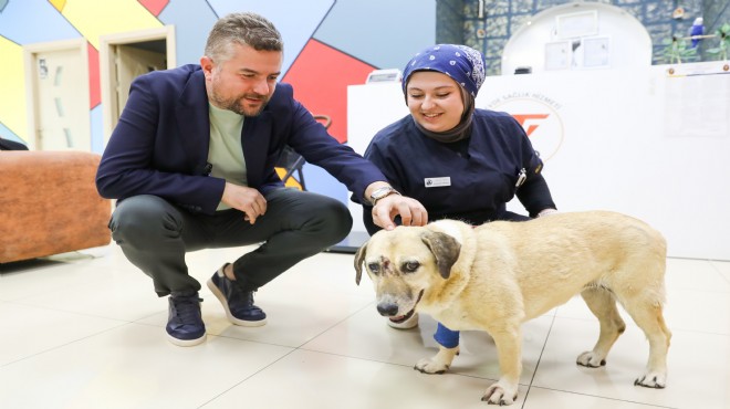 Saldırıya uğramıştı... Başkan Duman dan can dosta ziyaret