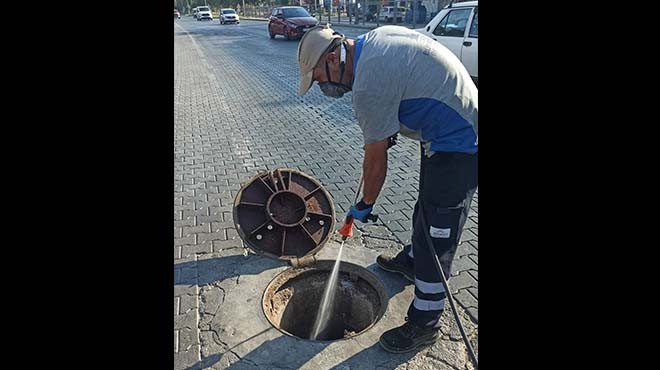 Selçuk ta haşere sorunu ile mücadele