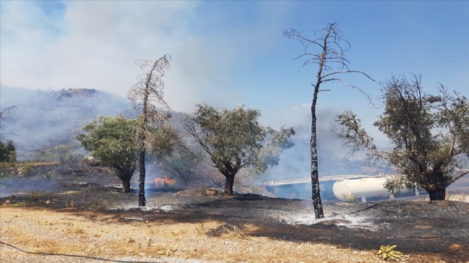 Selçuk ta korkutan yangın!