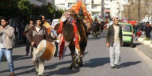 Selçuk Deve Güreşleri Festivali başladı