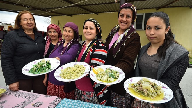  Sakin Şehir de şevketi bostan şöleni!