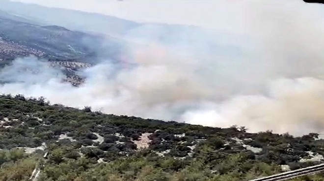 Sigara izmariti 2 hektar ormanı yaktı