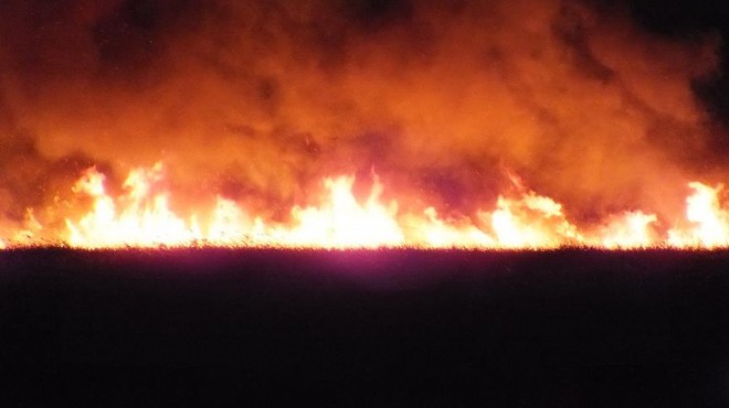 Şili de orman yangını kabusu: 11 ölü