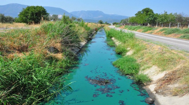 Sulama kanalının rengi maviye döndü... Manisa da çevre katliamı!