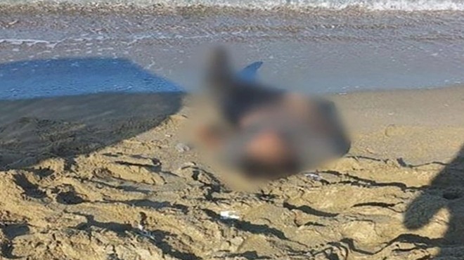 Şüpheli ölüm... Deniz kenarında erkek cesedi bulundu