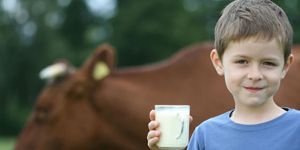 Süt tüketimi neden önemli?