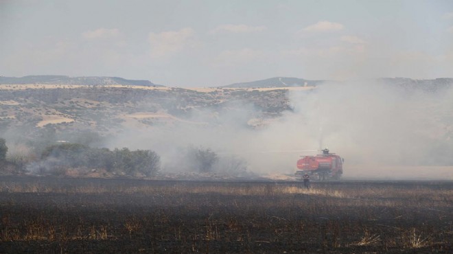 Tarım arazilerinde yangın: 50 dönüm alan zarar gördü