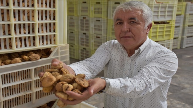 Tariş İncir Birliği nin kuru incir alım fiyatı zamlandı