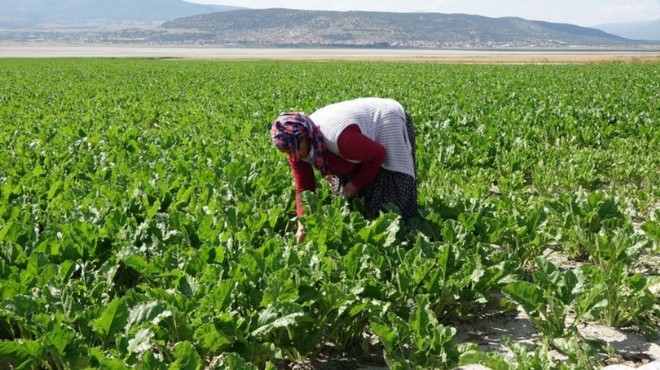 Tarlada çalışan çocuğa yorgun mermi şoku!