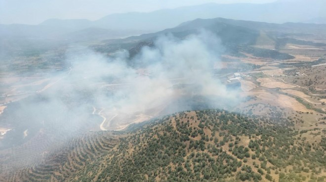 İzmir de ormana sıçrayan yangın kontrol altına alındı