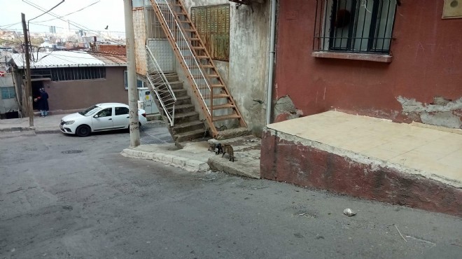 İzmir deki kadın cinayetinde yeni detaylar... Evi boşaltmadığı için öldürmüş!