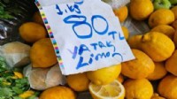 5 limon 80 lira… Üretici battı, fiyat arttı!