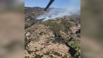 Aydın'da zeytinlik alanda çıkan yangın kontrol altına alındı