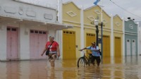 Brezilya'da sel felaketi: Onlarca ölü, yüzlerce kayıp!