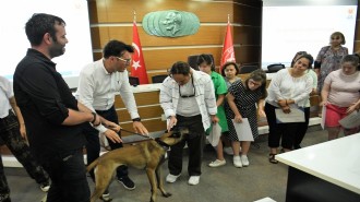 Down sendromlu çocuklara temel afet bilinci eğitimi