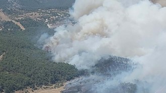 İzmir'de korkutan orman yangını!
