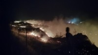 Manisa'da makilik yangını kontrol altında!